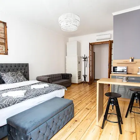 Luxury Apartament Mostowa 18/2 Stary Toruń Zewnętrze zdjęcie